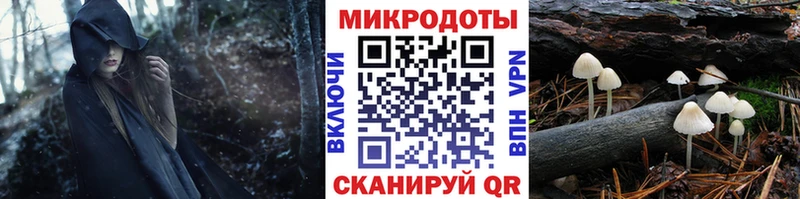 закладки  Туапсе  Псилоцибиновые грибы прущие грибы 